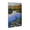 Stupell Industries Duck's Morning Solitude Canvas Wall Art Design by Andrew Kiss